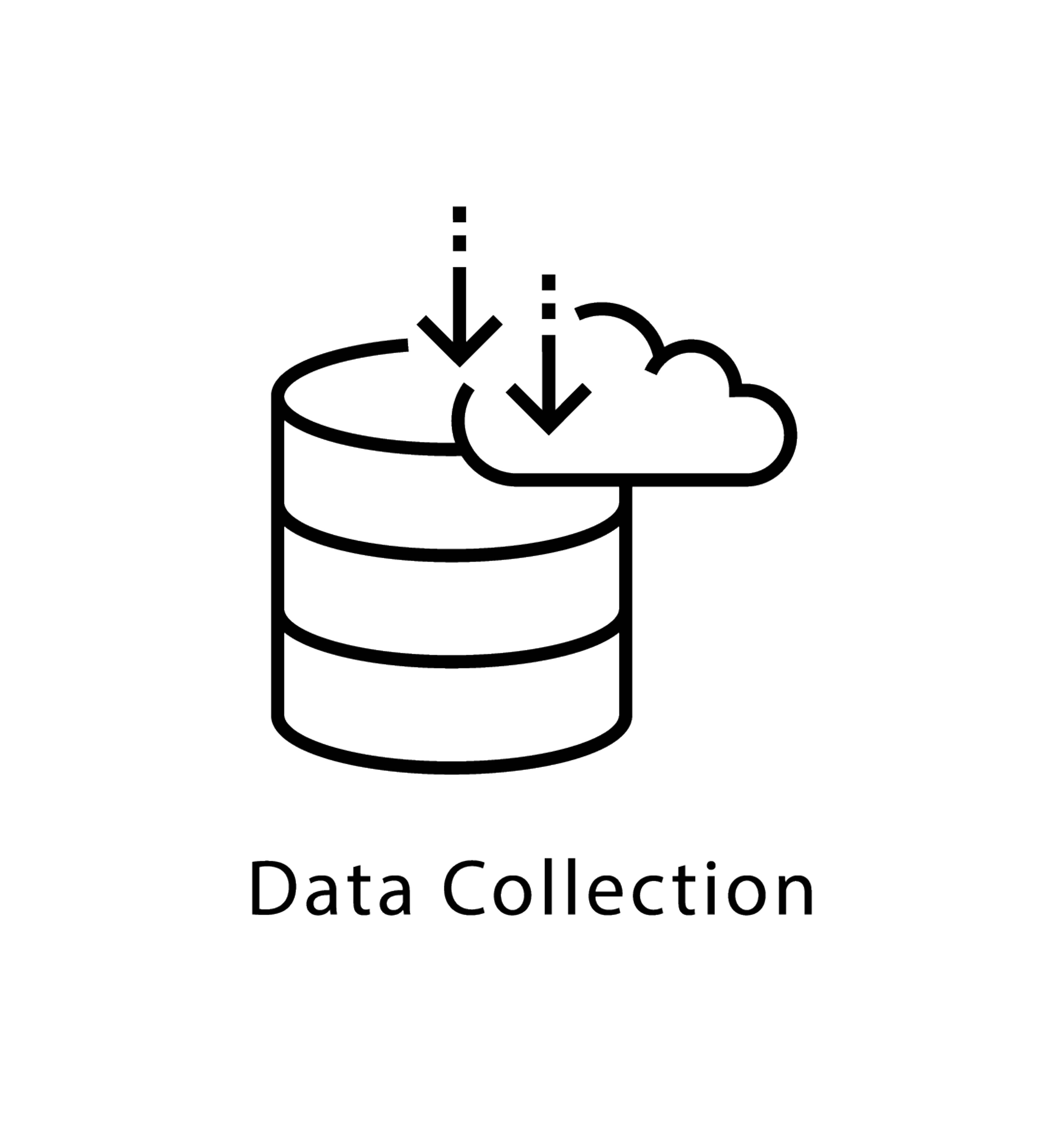 mySQL database